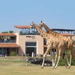 Vipingo Ridge; More Than Just Golf